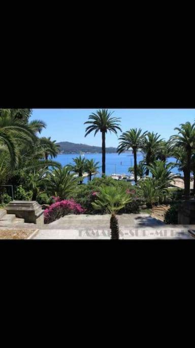 Ferienwohnung Le Dyonisos Et Piscine La Seyne-sur-Mer Exterior foto