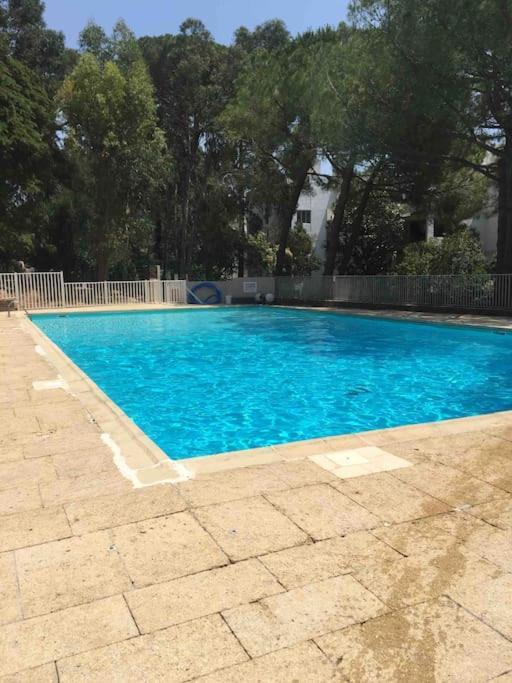 Ferienwohnung Le Dyonisos Et Piscine La Seyne-sur-Mer Exterior foto