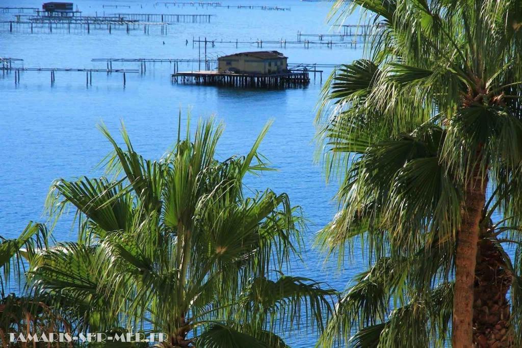 Ferienwohnung Le Dyonisos Et Piscine La Seyne-sur-Mer Exterior foto